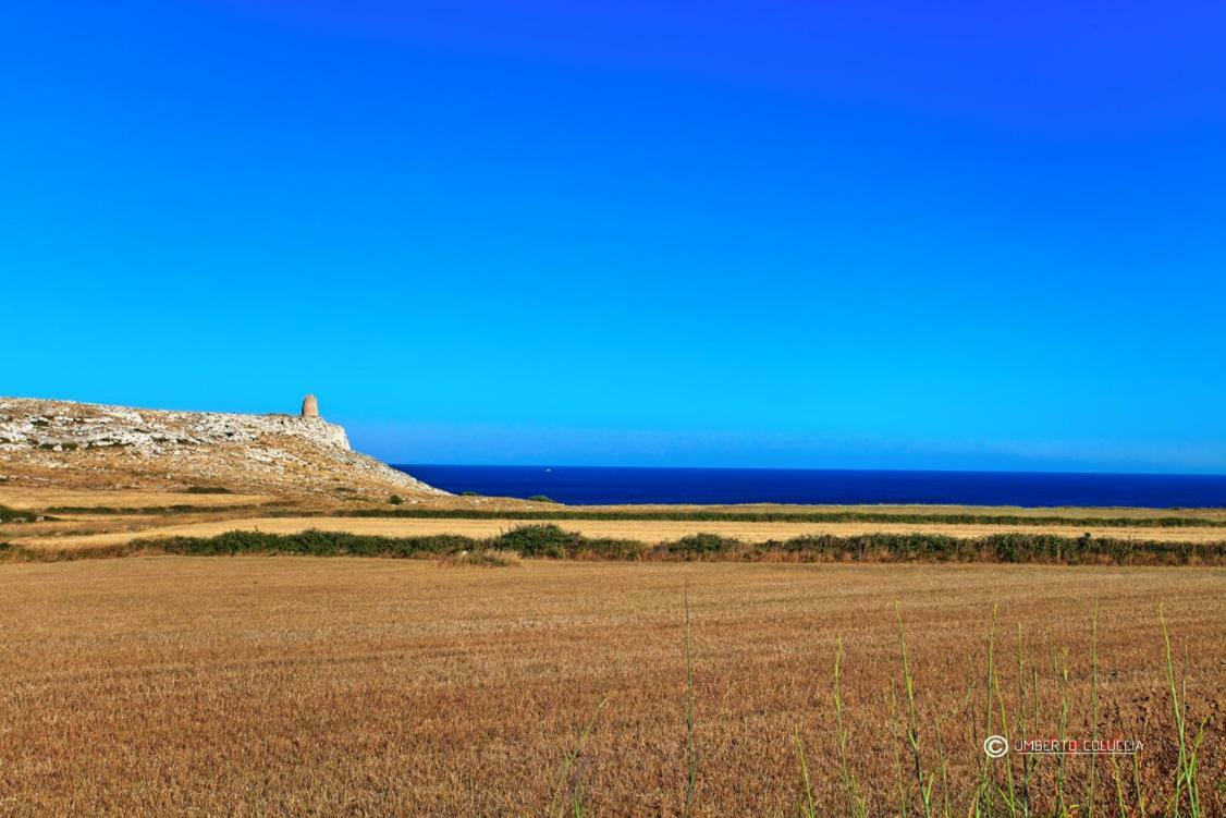 Agriturismo Masseria Terra D'Otranto Buitenkant foto